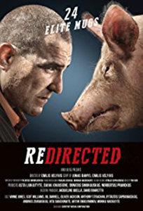 Redirected (2014) Film Online Subtitrat