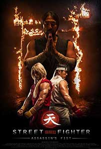 Street Fighter Assassin's Fist (2014) Online Subtitrat
