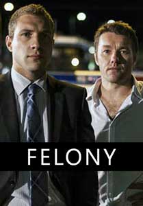 Felony - Secretul unei crime (2013) Online Subtitrat