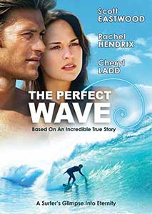 The Perfect Wave (2014) Online Subtitrat in Romana