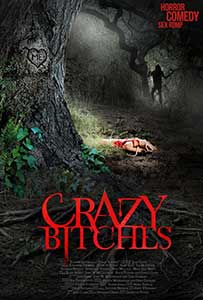 Crazy Bitches (2014) Online Subtitrat in Romana