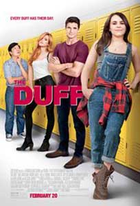 The DUFF (2015) Film Online Subtitrat
