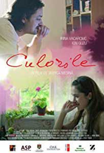 Culorile (2013) Film Romanesc Online