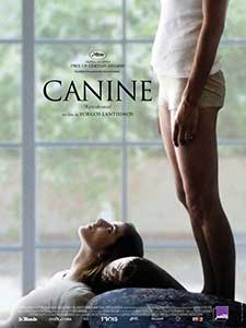 Canin - Dogtooth (2009) film online subtitrat