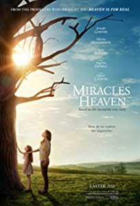 Miracles from Heaven (2016) Film Online Subtitrat