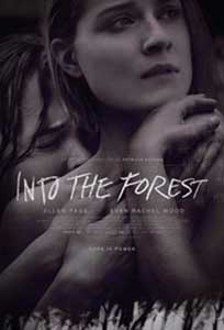 Into the Forest (2015) Film Online Subtitrat
