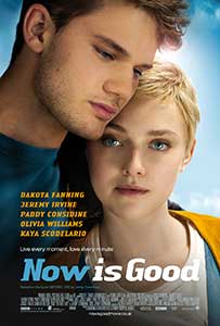 Acum e momentul - Now Is Good (2012) Film Online Subtitrat