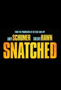 Prizoniere de vacanță - Snatched (2017) Film Online Subtitrat