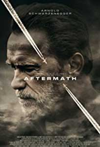 Aftermath (2017) Film Online Subtitrat