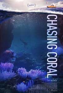 Chasing Coral (2017) Documentar Online Subtitrat in Romana