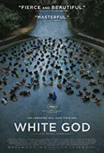 Oraşul câinilor - White God (2014) Film Online Subtitrat