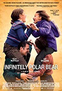 Sentimente care vindeca - Infinitely Polar Bear (2014) Online Subtitrat