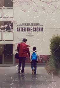 After the Storm (2016) Film Online Subtitrat