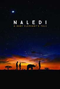 Naledi A Baby Elephant's Tale (2016) Documentar Online Subtitrat