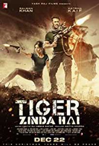 Tiger Zinda Hai (2017) Film Indian Online Subtitrat