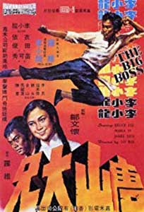 The Big Boss - Tang shan da xiong (1971) Online Subtitrat
