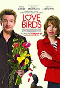 Un Cupidon căzut din cer - Love Birds (2011) Online Subtitrat