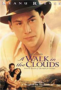 Atat de aproape de cer - A Walk in the Clouds (1995) Online Subtitrat