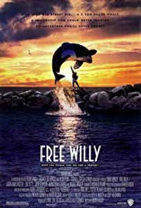 Salvati-l pe Willy (1993) Dublat in Romana Online