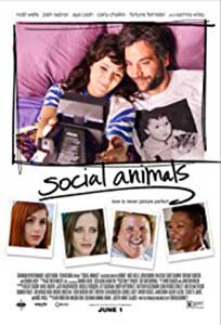 Animale sociale - Social Animals (2018) Online Subtitrat