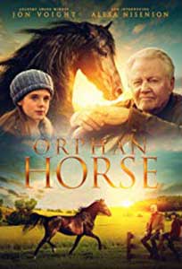 Orphan Horse (2018) Online Subtitrat in Romana in HD 1080p
