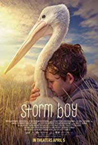 Storm Boy (2019) Online Subtitrat in Romana in HD 1080p