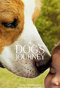 A Dog's Journey (2019) Online Subtitrat in Romana in HD 1080p