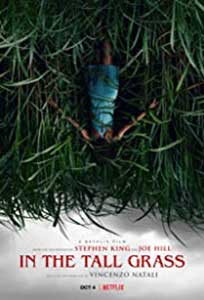 In the Tall Grass (2019) Online Subtitrat in Romana
