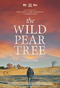 The Wild Pear Tree (2018) Online Subtitrat in Romana