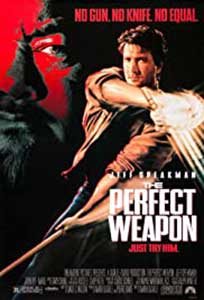 The Perfect Weapon (1991) Online Subtitrat in Romana