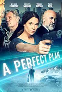 A Perfect Plan (2020) Online Subtitrat in Romana in HD 1080p
