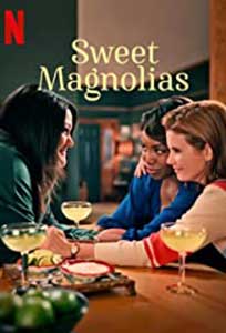 Sweet Magnolias (2023) Sezonul 3 Online Subtitrat in Romana