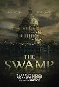 The Swamp (2020) Documentar Online Subtitrat in Romana