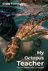 My Octopus Teacher (2020) Documentar Online Subtitrat