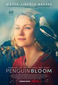 Penguin Bloom (2020) Film Online Subtitrat in Romana