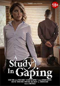 A Study In Gaping (2020) Film Erotic Online in HD 1080p