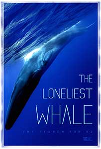 The Loneliest Whale: The Search for 52 (2021) Documentar Online
