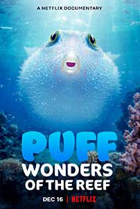 Puff: Wonders of the Reef (2021) Documentar Online Subtitrat in Romana