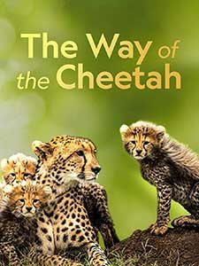 The Way of the Cheetah (2022) Documentar Online Subtitrat in Romana