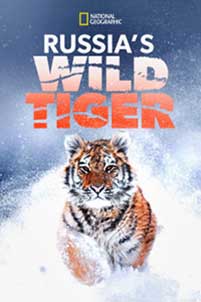 Russia's Wild Tiger (2022) Documentar Online Subtitrat in Romana