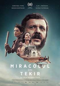 Miracolul din Tekir - The Miracle of Tekir (2015) Film Romanesc Online