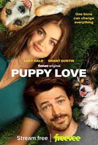 Puppy Love (2023) Film Online Subtitrat in Romana