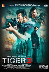 Tiger 3 (2023) Film Indian Online Subtitrat in Romana