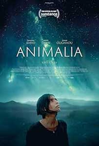 Animalia (2023) Film Online Subtitrat in Romana