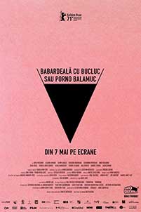 Babardeală cu bucluc sau porno balamuc (2021) Film Romanesc Online