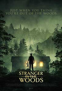 Stranger in the Woods (2024) Film Online Subtitrat in Romana