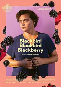 Blackbird Blackbird Blackberry (2023) Film Online Subtitrat in Romana