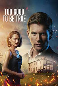 Too Good to be True (2024) Serial Online Subtitrat in Romana