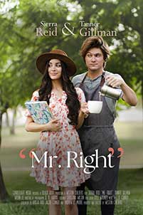 Domnul Perfect - Mr. Right (2023) Film Online Subtitrat in Romana