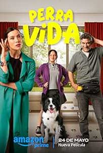 Perra Vida (2024) Film Online Subtitrat in Romana